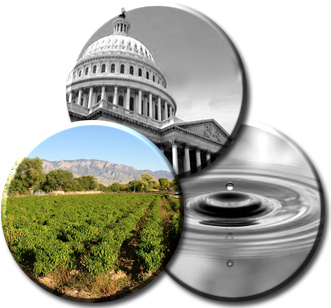 Regulatory & Litigation Support