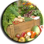 Home Grown Food